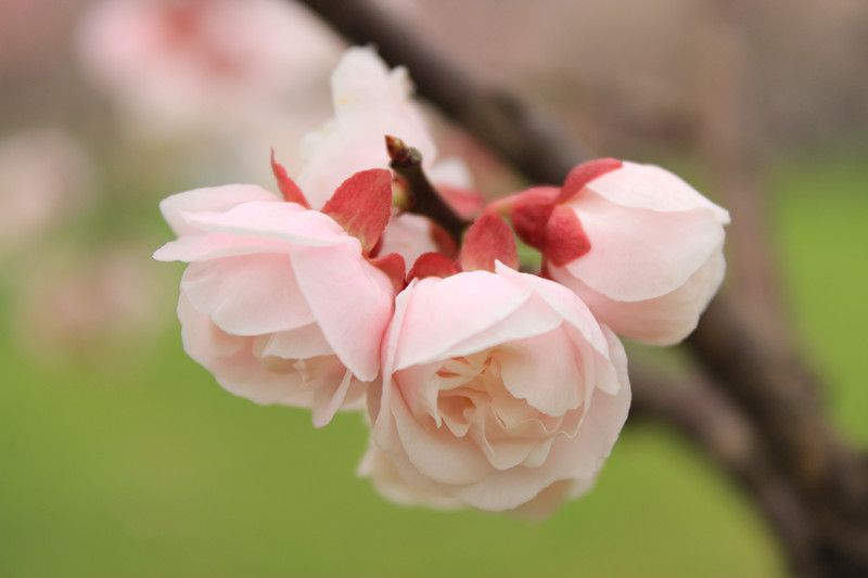 刑事司法学院2014年“如影随刑”摄影大赛评选结果公示