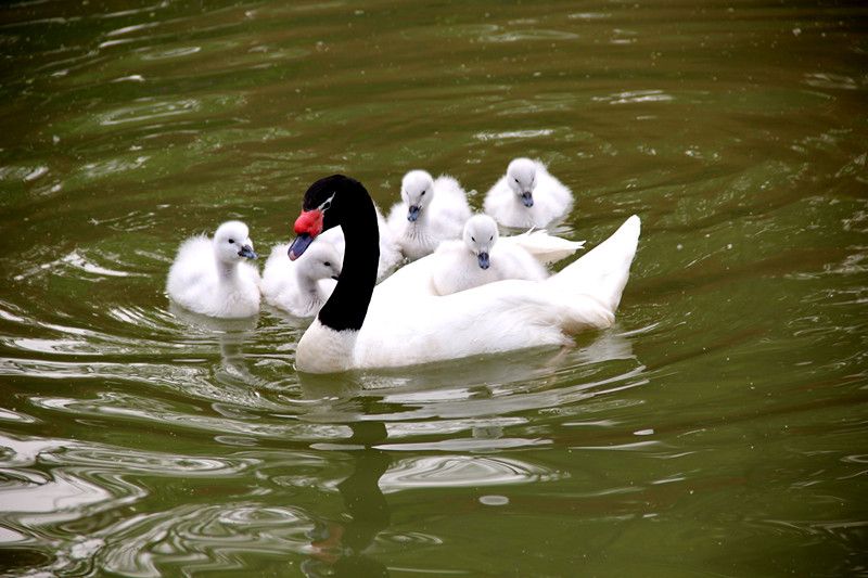 刑事司法学院2014年“如影随刑”摄影大赛评选结果公示